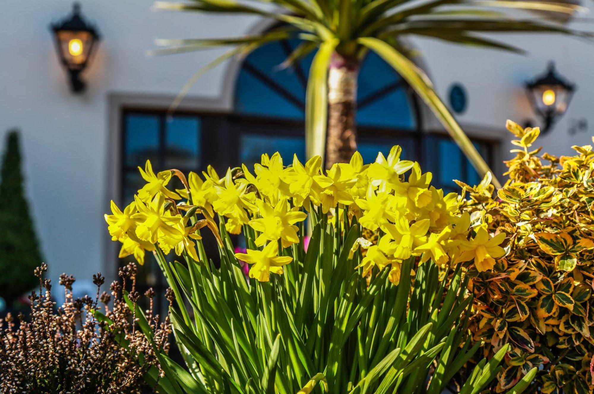 Ballymac Hotel Stonyford Eksteriør billede